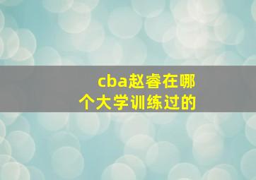 cba赵睿在哪个大学训练过的