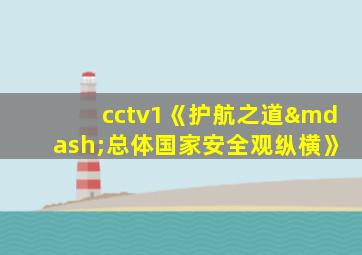 cctv1《护航之道—总体国家安全观纵横》