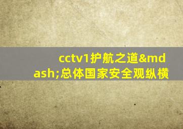 cctv1护航之道—总体国家安全观纵横