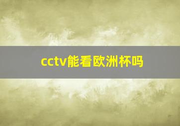 cctv能看欧洲杯吗