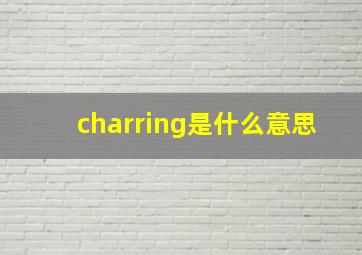 charring是什么意思