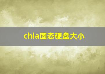 chia固态硬盘大小