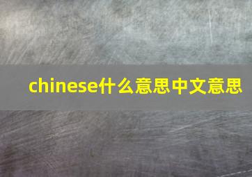 chinese什么意思中文意思