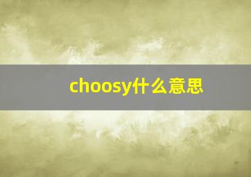 choosy什么意思