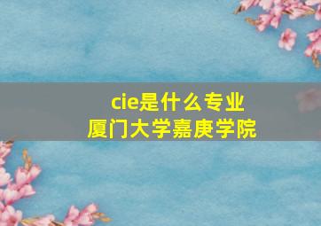 cie是什么专业厦门大学嘉庚学院