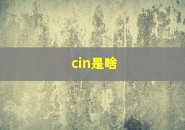 cin是啥