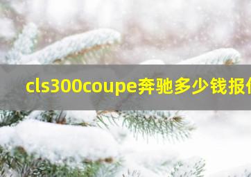 cls300coupe奔驰多少钱报价