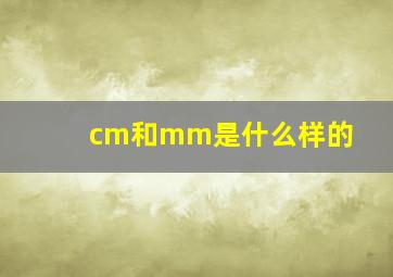 cm和mm是什么样的