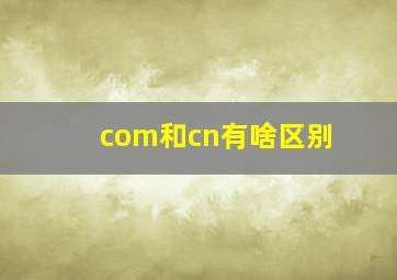 com和cn有啥区别