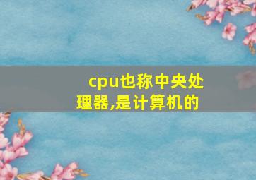 cpu也称中央处理器,是计算机的