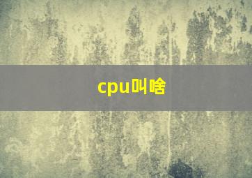 cpu叫啥