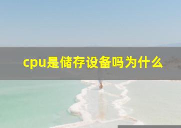 cpu是储存设备吗为什么