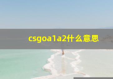 csgoa1a2什么意思