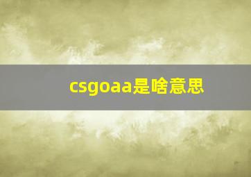 csgoaa是啥意思