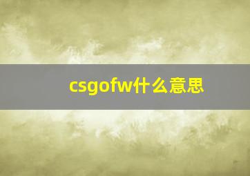 csgofw什么意思