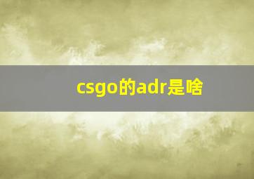 csgo的adr是啥