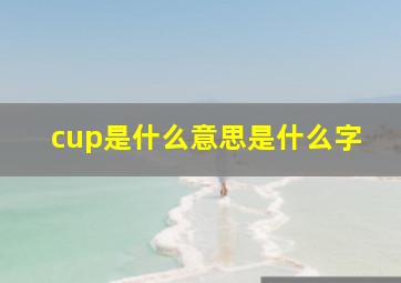 cup是什么意思是什么字