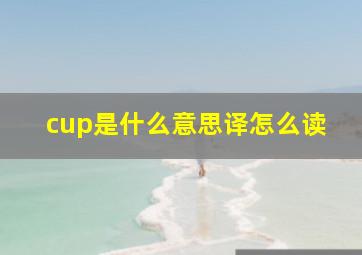 cup是什么意思译怎么读