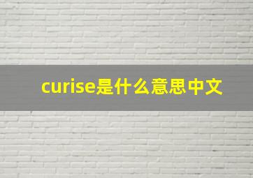 curise是什么意思中文