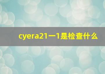 cyera21一1是检查什么