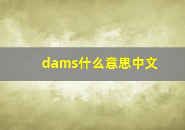 dams什么意思中文