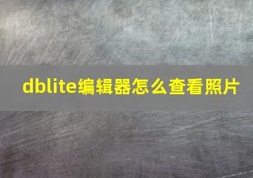 dblite编辑器怎么查看照片