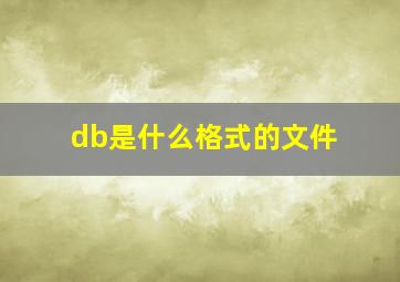 db是什么格式的文件