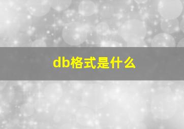 db格式是什么