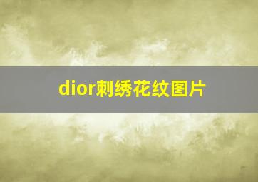 dior刺绣花纹图片