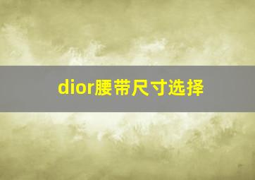 dior腰带尺寸选择