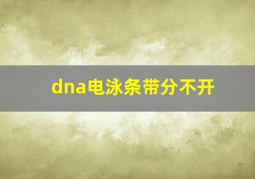 dna电泳条带分不开