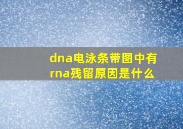 dna电泳条带图中有rna残留原因是什么