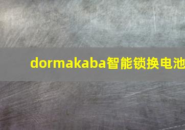 dormakaba智能锁换电池