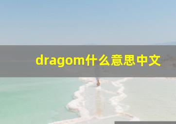 dragom什么意思中文