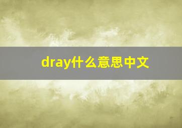 dray什么意思中文