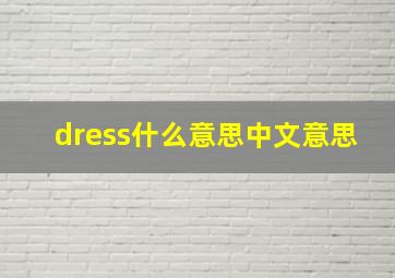 dress什么意思中文意思