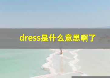 dress是什么意思啊了