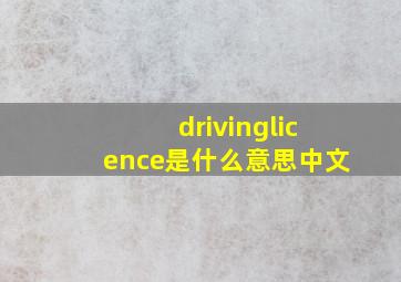 drivinglicence是什么意思中文