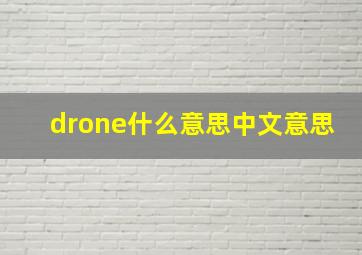 drone什么意思中文意思