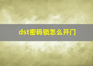 dst密码锁怎么开门