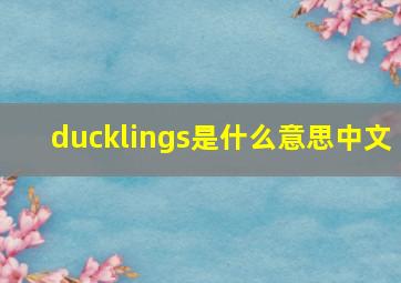 ducklings是什么意思中文