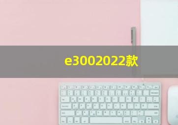 e3002022款