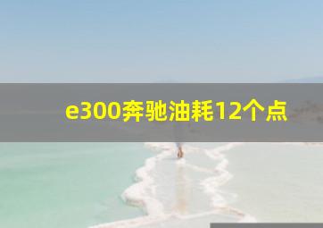 e300奔驰油耗12个点