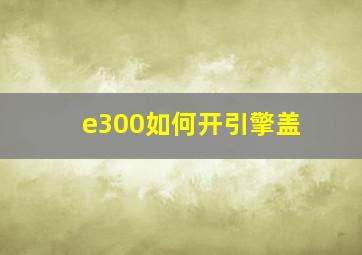 e300如何开引擎盖