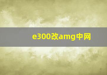 e300改amg中网