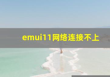 emui11网络连接不上