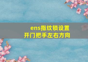 ens指纹锁设置开门把手左右方向