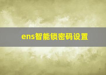 ens智能锁密码设置