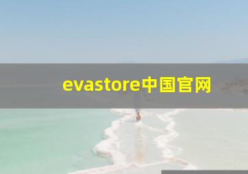 evastore中国官网