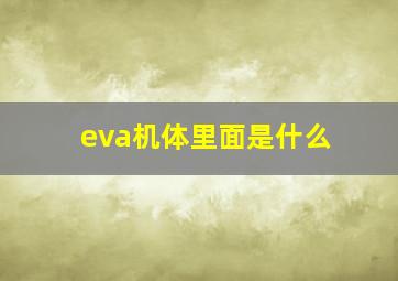 eva机体里面是什么